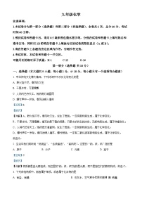 陕西省渭南市澄城县2023-2024学年九年级上学期期中化学试题（解析版）