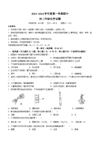 陕西省西安市2023-2024学年九年级上学期期中化学试题