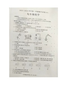 河南省周口市郸城县实验中学2023-2024学年九年级上学期期中考试化学试卷