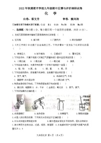 河南省驻马店市联片学校2022-2023学年九年级上学期期中素质调研化学试卷