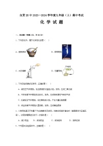 四川省自贡市第二十八中学校2023-2024学年九年级上学期期中考试化学试题