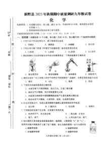 河南省南阳市新野县2023-2024学年九年级下学期期中质量调研化学试卷