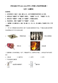 安徽省阜阳市界首市第五中学2023-2024学年九年级上学期第一次月考化学试题