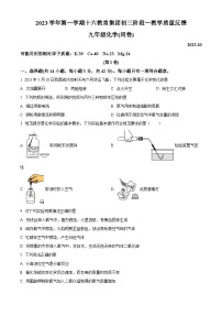 广东省广州市越秀区第十六中学2023-2024学年九年级上学期10月月考化学试题