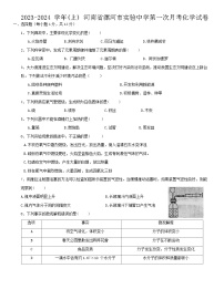 河南省漯河市实验中学2023-2024学年九年级上学期第一次月考化学试卷