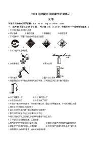 河南省南阳市南召县2023-2024学年九年级上学期期中化学试题