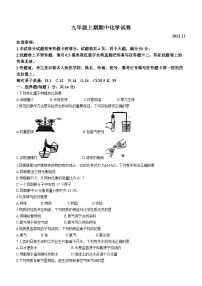 河南省新乡市辉县市2023-2024学年九年级上学期11月期中化学试题