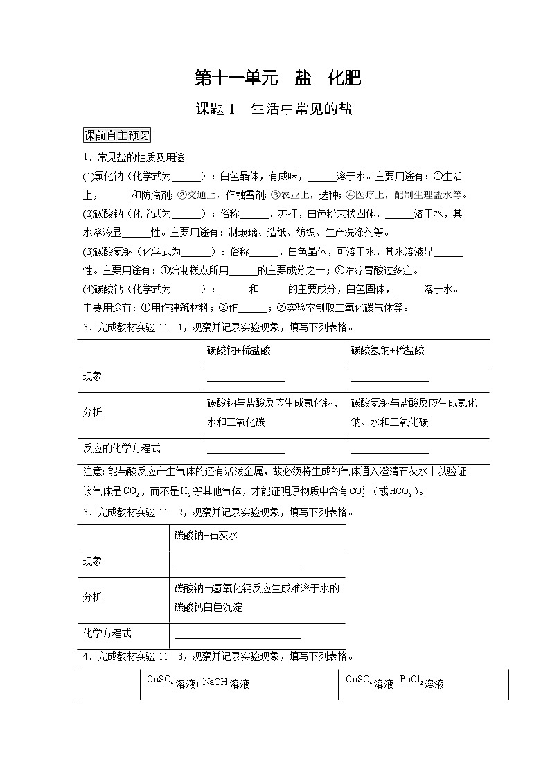 人教版九年级化学下册同步练习11.1 生活中常见的盐（原卷版）第1页