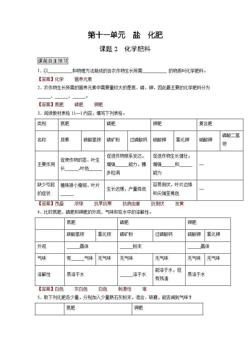 人教版九年级化学下册同步练习11.2 化学肥料（原卷版）+解析卷01