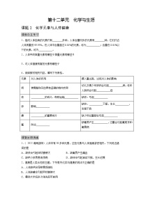 初中化学人教版九年级下册课题2 化学元素与人体健康当堂检测题