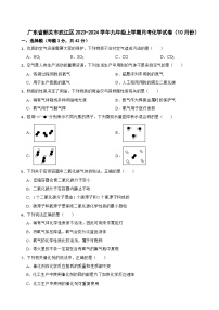 广东省韶关市武江区2023-2024学年九年级上学期月考化学试卷（10月份）