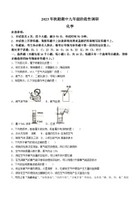 河南省南阳市方城县2023-2024学年九年级上学期期中化学试题