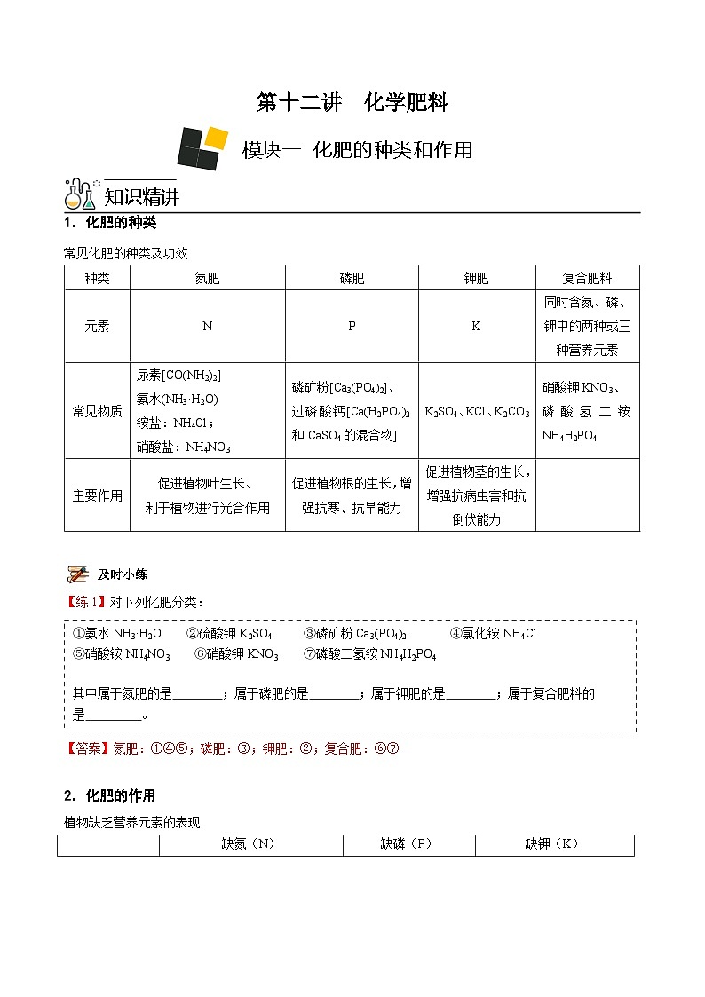 人教版九年级化学下册《专题训练》第12讲 化学肥料（解析版）第1页