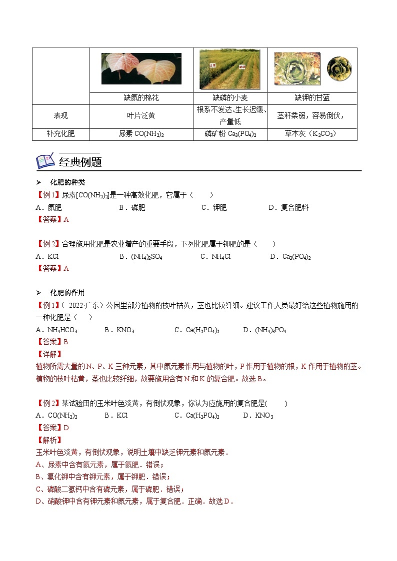 人教版九年级化学下册《专题训练》第12讲 化学肥料（解析版）第2页