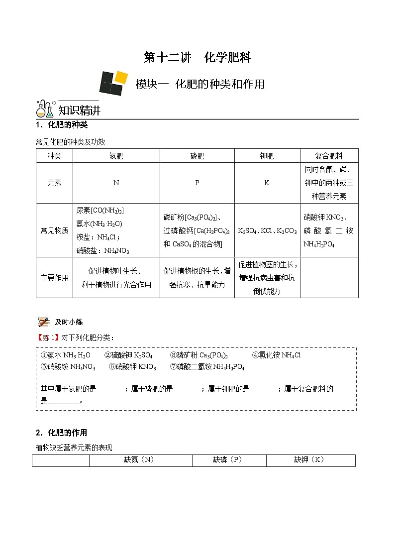 人教版九年级化学下册《专题训练》第12讲 化学肥料（原卷版）第1页