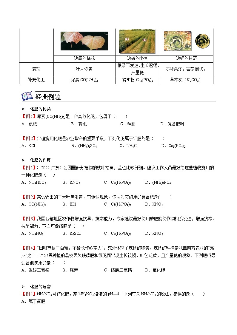 人教版九年级化学下册《专题训练》第12讲 化学肥料（原卷版）第2页
