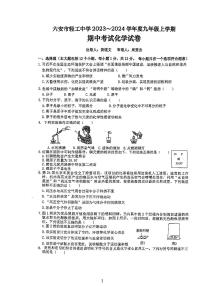 安徽省六安市轻工中学2023-2024学年九年级上学期11月期中化学试题