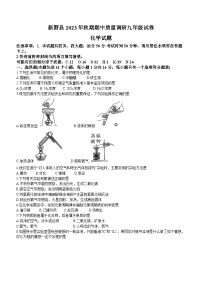 河南省南阳市新野县2023-2024学年九年级上学期期中化学试题