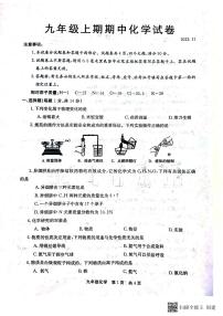 河南省新乡市辉县市2023-2024学年九年级上学期11月期中化学试题