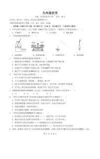 湖南省衡阳市八中教育集团2023-2024学年九年级上学期期中考试化学试卷