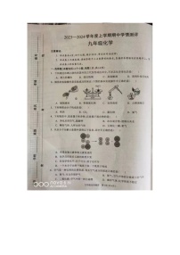 河南省驻马店市平舆县2023-2024学年九年级上学期11月期中化学试题