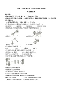 河南省驻马店市平舆县2023-2024学年九年级上学期11月期中化学试题