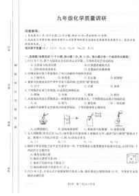 河南省信阳市平桥区2023-2024学年九年级上学期11月期中化学试题