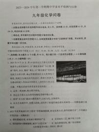 山东省聊城市阳谷县2023-2024学年九年级上学期11月期中化学试题