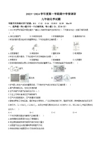 江苏省盐城市滨海县2023-2024学年九年级上学期期中化学试题