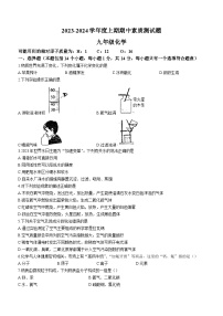 2023-2024学年河南省驻马店市确山县九年级（上）期中化学试卷