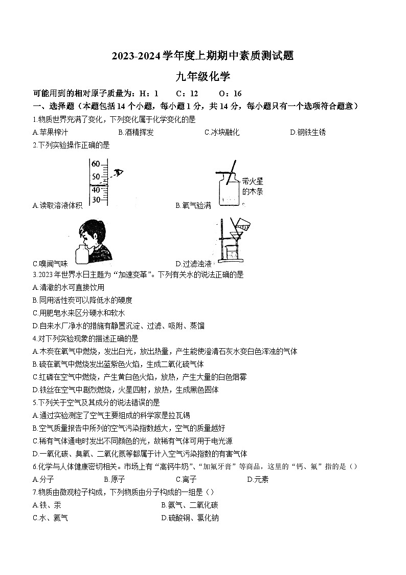 2023-2024学年河南省驻马店市确山县九年级（上）期中化学试卷01