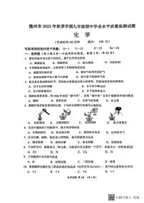 海南省儋州市2023-2024学年九年级上学期11月期中化学试题