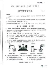 山东省潍坊市潍城区2023-2024学年九年级上学期期中化学试题