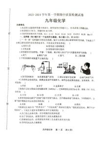 河南省平顶山市叶县2023-2024学年九年级上学期11月期中化学试题