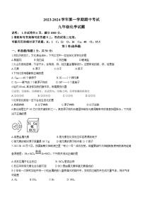 河北省邢台市信都区2023--2024学年九年级上学期期中化学试题