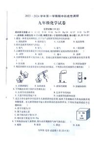 河南省洛阳市2023-2024学年九年级上学期期中考试化学试卷