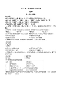 29，安徽省芜湖市无为市部分学校2023-2024学年九年级上学期11月期中化学试题