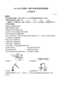 30，安徽省亳州市蒙城县部分校2023-2024学年九年级上学期11月期中化学试题