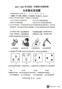 山东省菏泽市东明县2023-2024学年九年级上学期11月期中化学试题