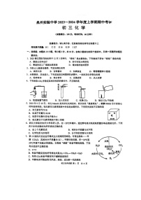 福建省泉州实验中学2023-2024学年九年级上学期11月期中化学试题