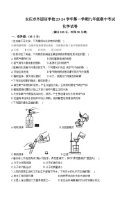 安徽省安庆市外国语学校2023-2024学年九年级上学期期中化学试题