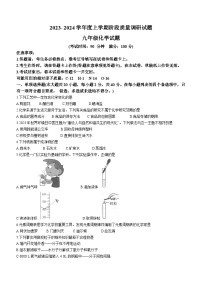 广西壮族自治区百色市2023-2024学年九年级上学期11月期中化学试题