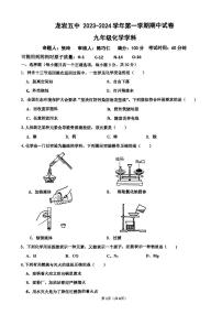 福建省龙岩市新罗区龙岩市第五中学2023-2024学年九年级上学期11月期中化学试题