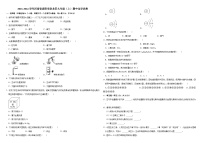 2023-2024学年河南省洛阳市洛龙区九年级（上）期中化学试卷