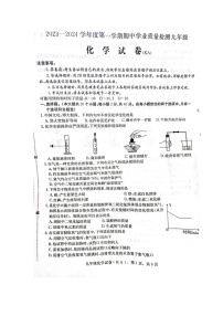 河北省石家庄市赵县2023-2024学年九年级上学期11月期中化学试题