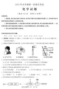 2023年山东省德州市临邑县中考一模化学试题