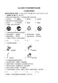 河南省信阳市光山县2023-2024学年九年级上学期11月期中化学试题(无答案)