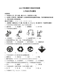 河南省南阳市宛城区2023-2024学年九年级上学期期中化学试题