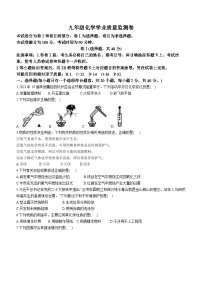 河北省保定市乐凯中学2023-2024学年九年级上学期期中考试化学试卷(无答案)