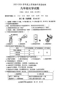 山东省日照市岚山区2023-204年上学期九年级期中考试化学试卷